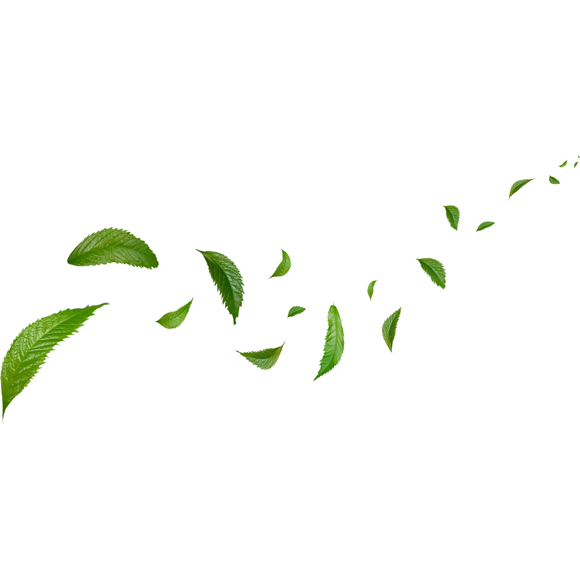 leaf float